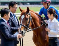 สูตรการแทงม้าทีมเต็ง ufabet เจาะลึกเทคนิคชนะเดิมพันอย่างยั่งยืน