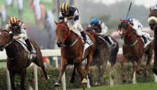 วิเคราะห์สนามแข่งม้า ufabet: กลยุทธ์และมุมมองเชิงลึกสำหรับนักเดิมพันมืออาชีพ